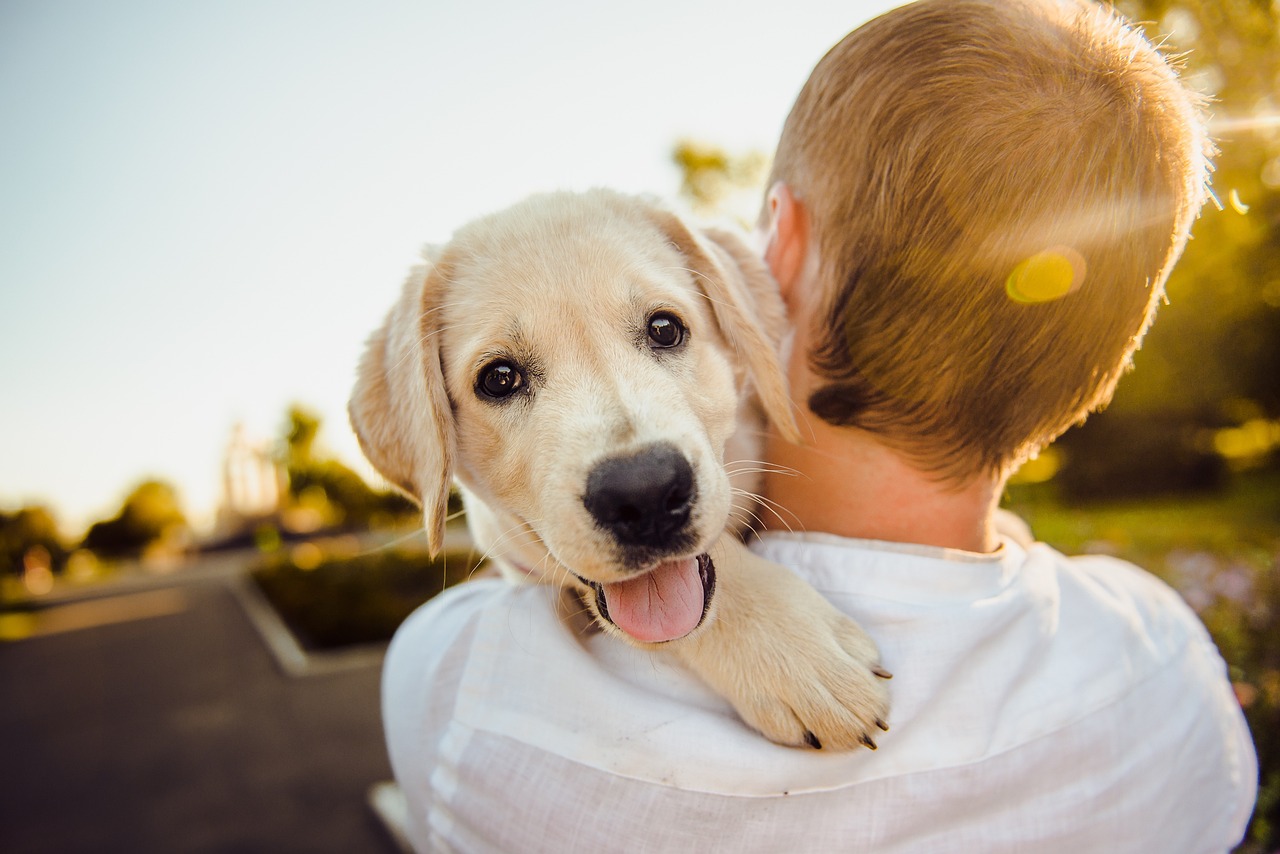 Choisir la race de son chien