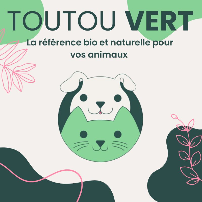 Coup de cœur : Toutou Vert, l’animalerie bio et naturelle pour vos compagnons à quatre pattes 🐾🌿