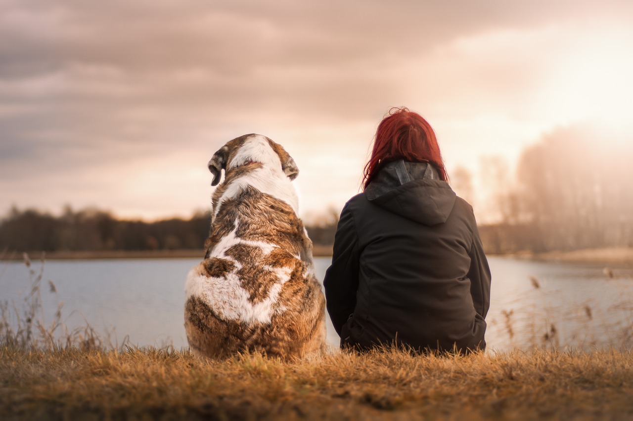 La communication avec son chien