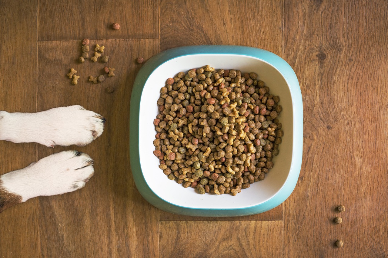 Les bienfaits des friandises naturelles pour votre chien 🐾