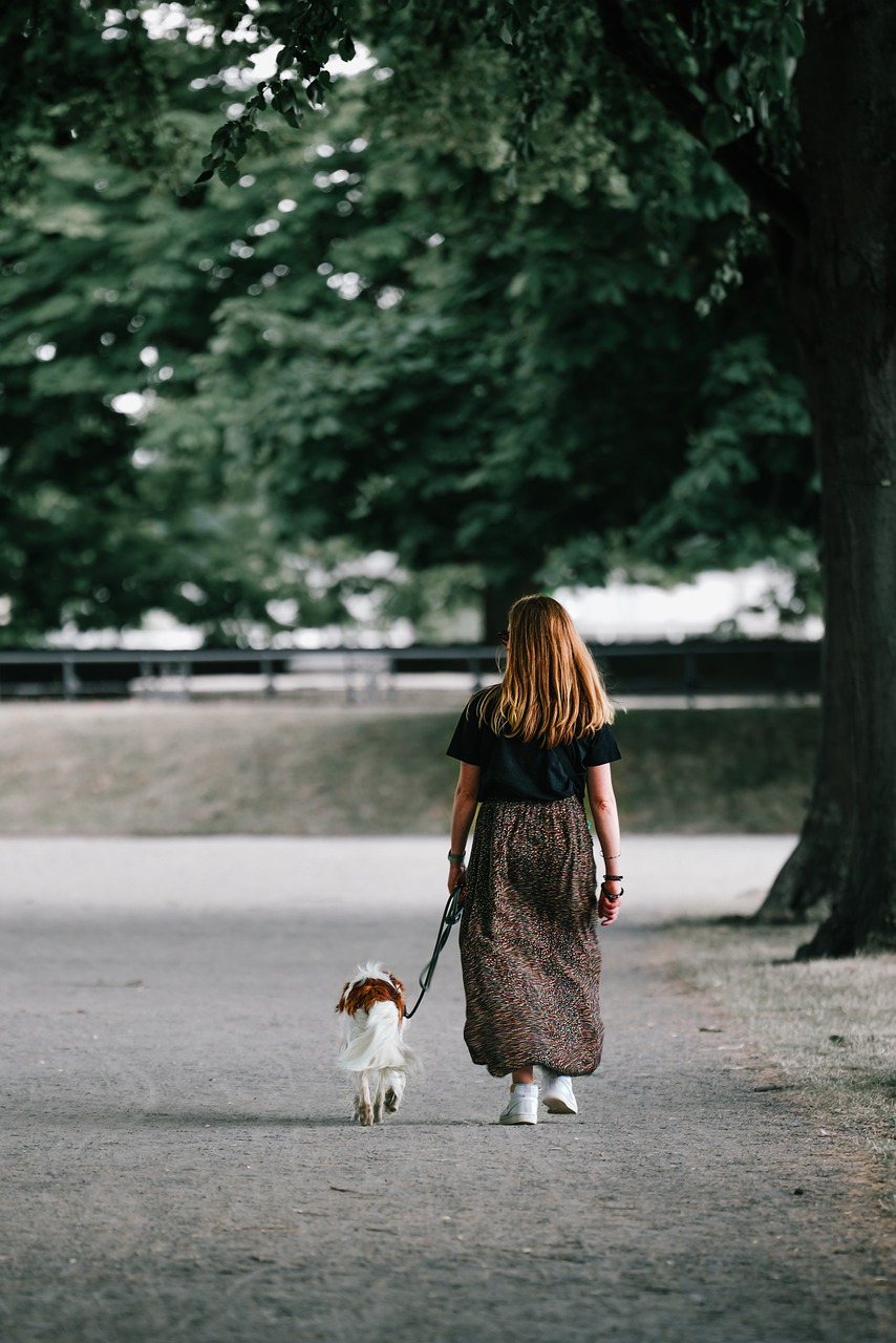 Participez à notre série d’interviews : Partagez votre histoire avec votre chien 🐾